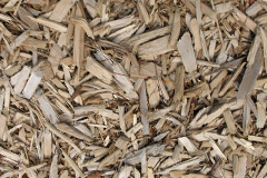 biomass boilers Treliske