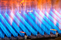 Treliske gas fired boilers
